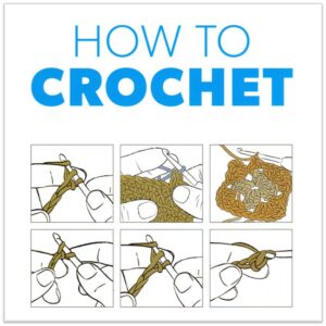 How to crochet - Techniques and Projects for the Complete Beginner book - signed copy